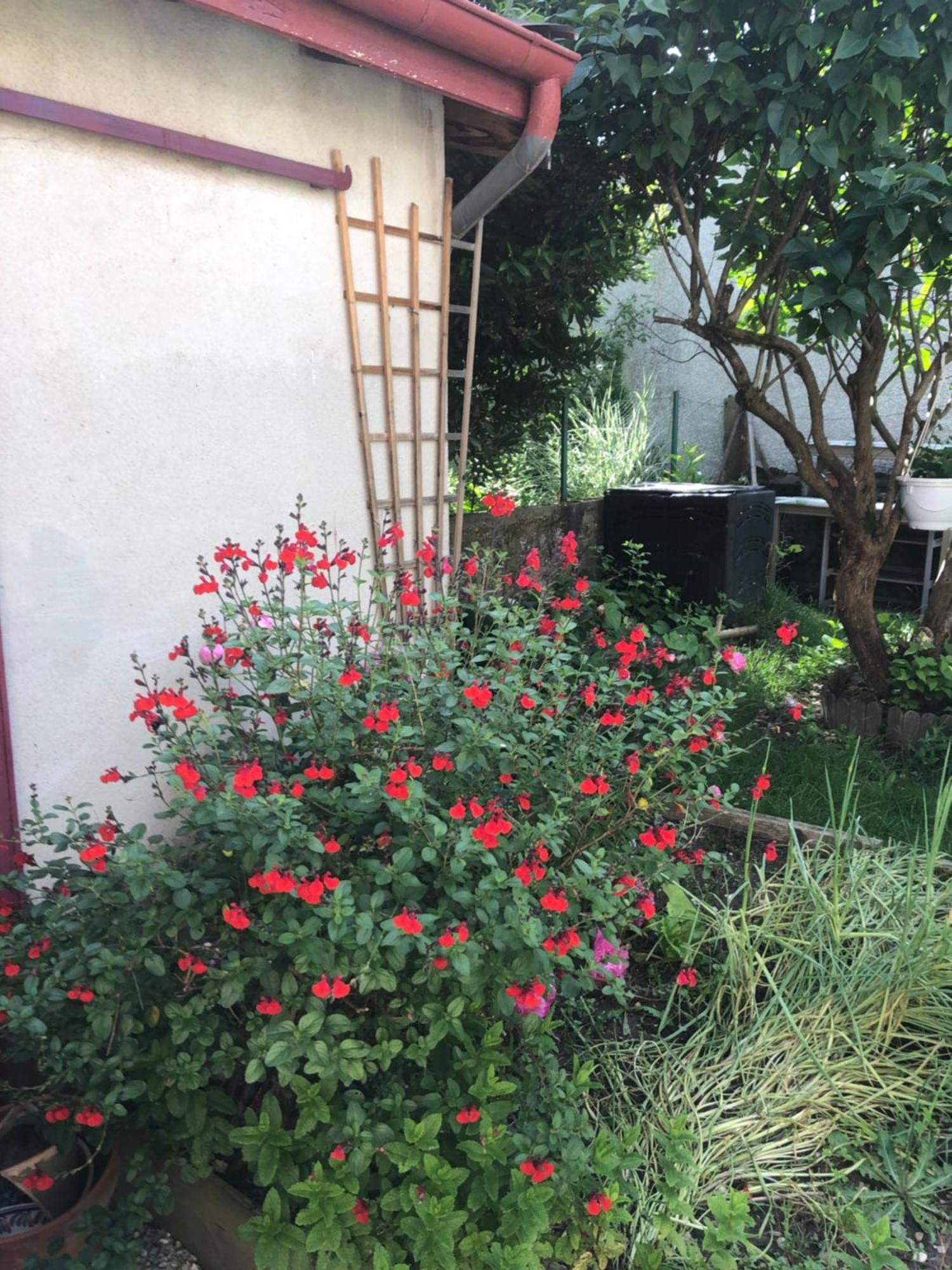 Ibis Rouge Villa Villars-les-Dombes Exteriör bild