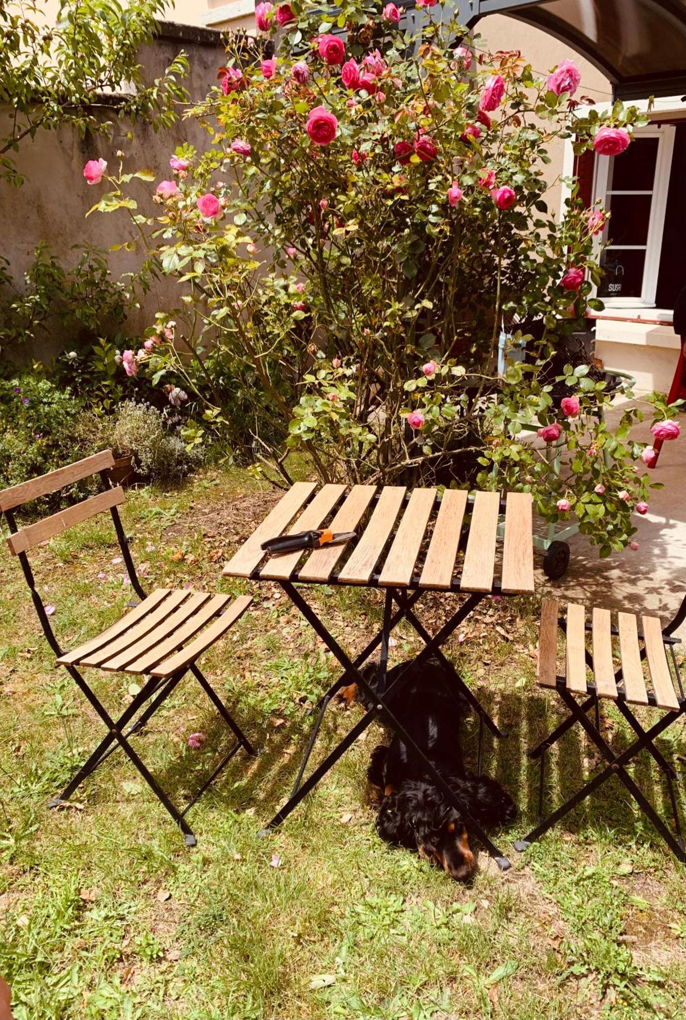 Ibis Rouge Villa Villars-les-Dombes Exteriör bild